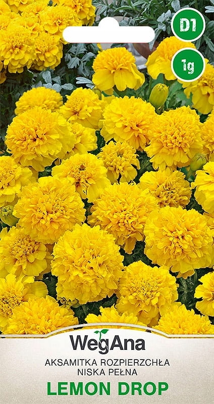 Aksamitka Rozpierzchła ż&oacute;łta niska Lemon Drop 1g - WegAna