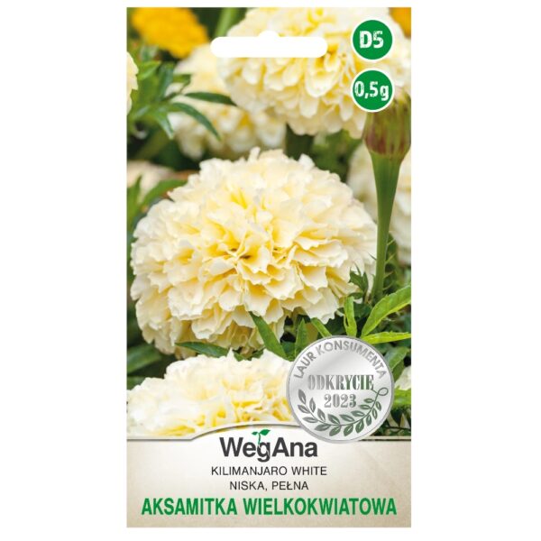 Aksamitka niska wielkokwiatowa Kilimanjaro White nasiona 0
