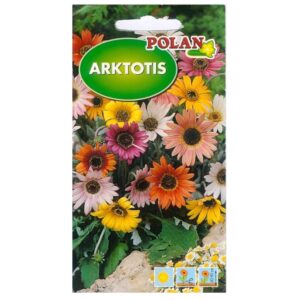 Arktotis mieszany Niedźwiedzie ucho nasiona 0