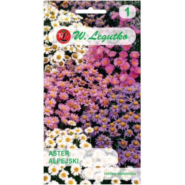 Aster alpejski mieszanka nasiona 0
