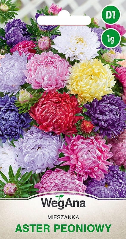 Aster peoniowy mieszanka kolor&oacute;w 1g - WegAna