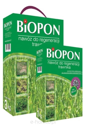BIOPON Naw&oacute;z do trawnika do regeneracji 1kg