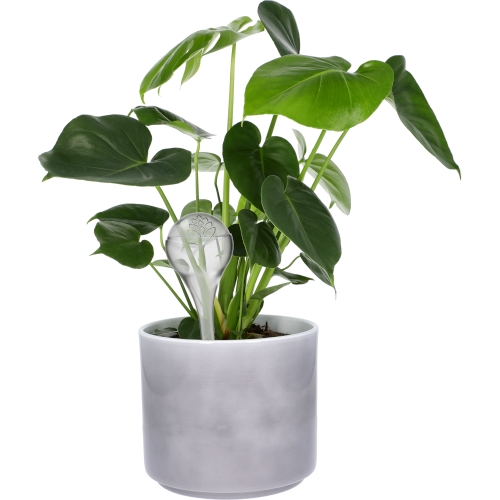 BROWIN KULE NAWADNIAJĄCE PRZEŹROCZYSTE 4SZT. (400ML)