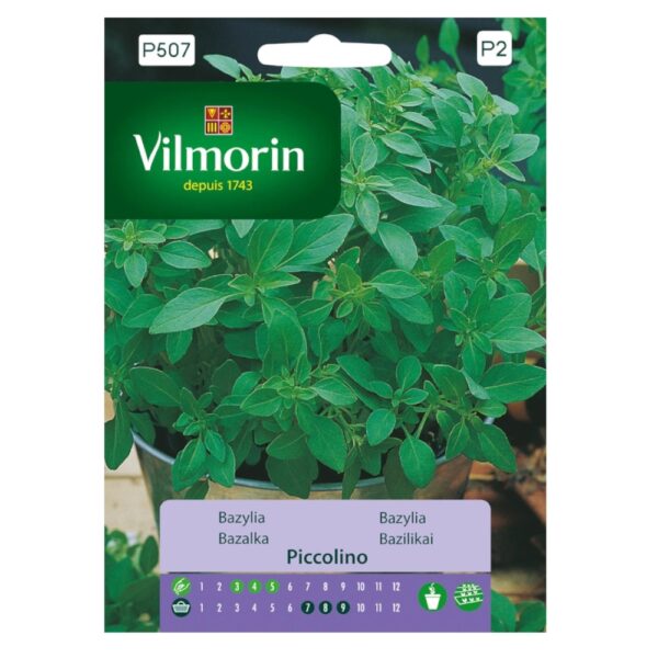 Bazylia Piccolino drobne smaczne liście nasiona 1g - VILMORIN