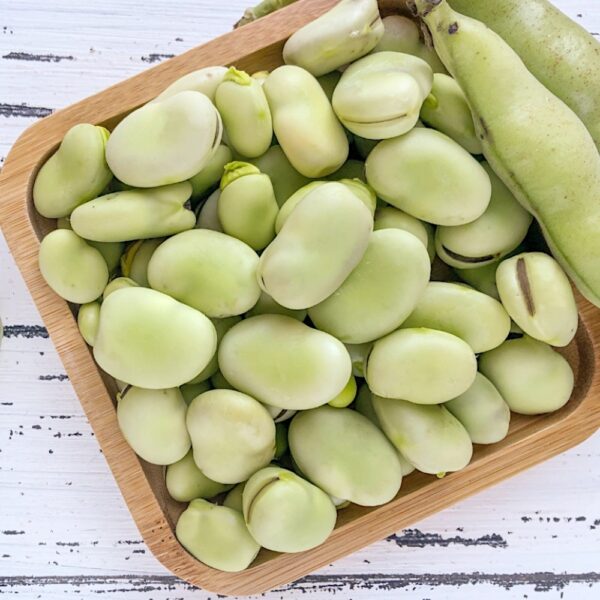 B&oacute;b Bartom nasiona 1000g - PlantiCo