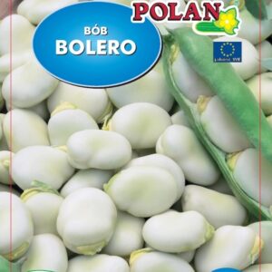 Bób Bolero nasiona 40g - POLAN