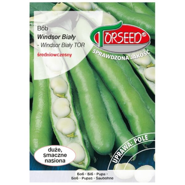 B&oacute;b Windsor Biały nasiona 50g - TORSEED