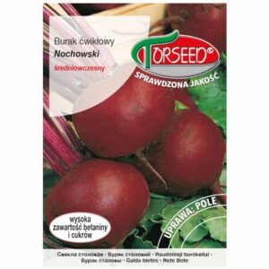 Burak ćwikłowy Nochowski nasiona 10g - TORSEED