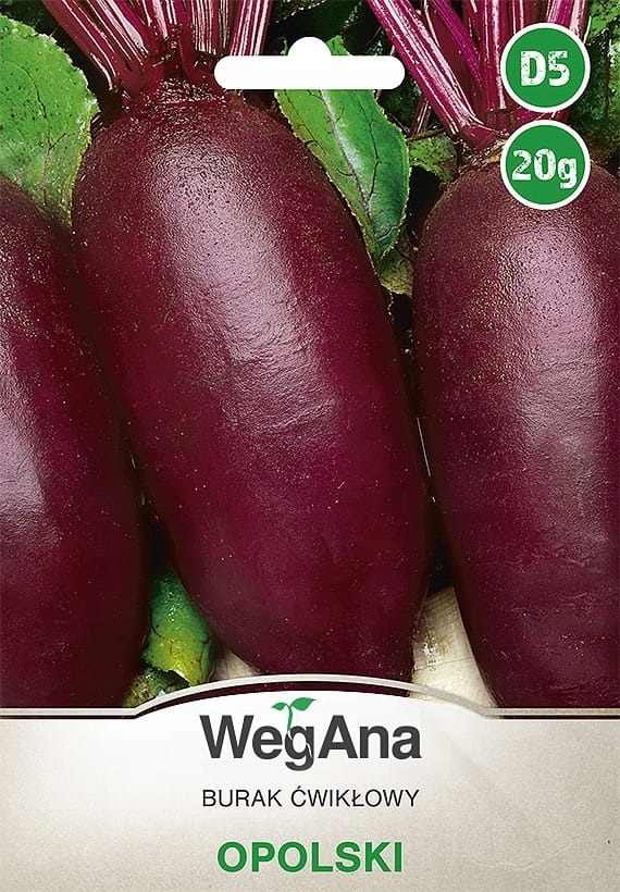 Burak cwiklowy Opolski 20g - WegAna