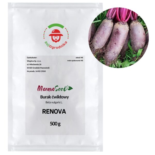 Burak ćwikłowy RENOVA nowa odmiana nasiona 500g - WegAna