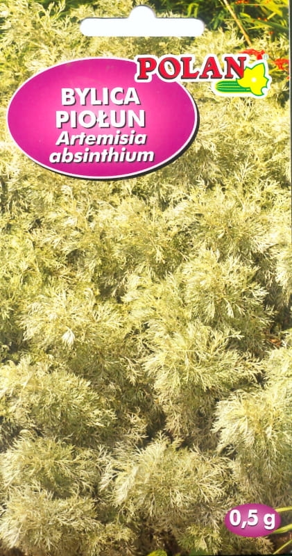 Bylica Piołun nasiona 0