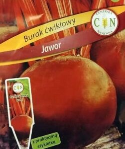 CENTRALA NASIENNA Burak ćwikłowy Jawor 10g