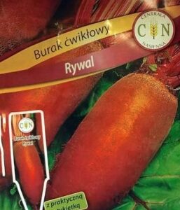 CENTRALA NASIENNA Burak ćwikłowy Rywal 10g