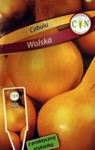 CENTRALA NASIENNA Cebula Wolska 5g późna