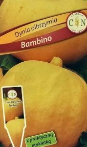 CENTRALA NASIENNA Dynia Bambino 2g