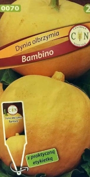 CENTRALA NASIENNA Dynia Bambino 2g