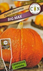 CENTRALA NASIENNA Dynia olbrzymia Big Max 2g