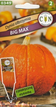 CENTRALA NASIENNA Dynia olbrzymia Big Max 2g