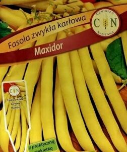 CENTRALA NASIENNA Fasola szparagowa Maxidor 30g