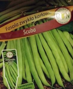 CENTRALA NASIENNA Fasola szparagowa Scuba 30g