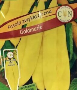 CENTRALA NASIENNA Fasola zwykła tyczna Goldmarie 20g