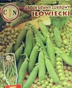 CENTRALA NASIENNA Groch cukrowy Iłowiecki 50g