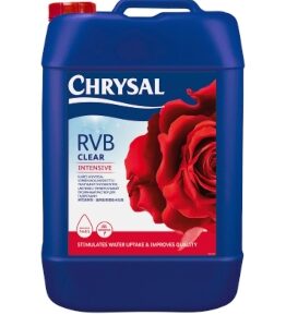 CHRISTAL RVB Clear Intensive 5l