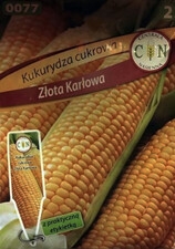 CN Kukurydza cukrowa Złota Karłowa 20g