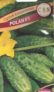 CN Ogórek gruntowy Polan 2g