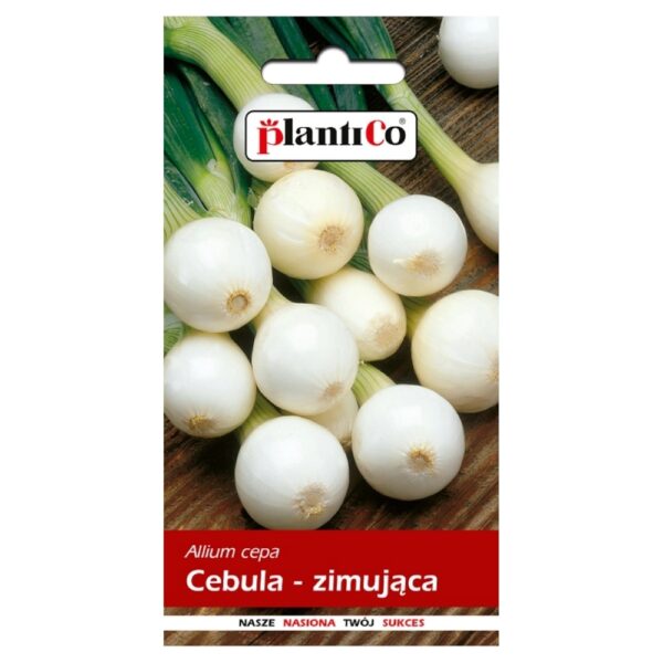 Cebula Agra nasiona 3g - PlantiCo