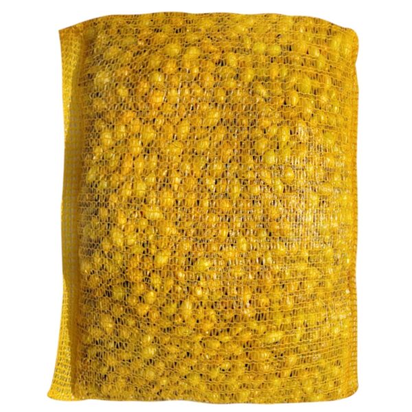 Cebula Dymka Ozima Senshyu Yellow zimowa 10kg