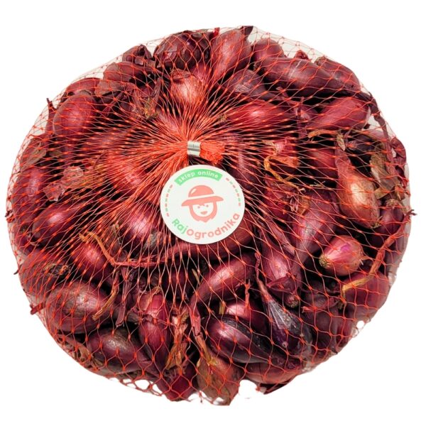 Cebula Dymka Red Cross Czerwona Ozima do sadzenia 250g