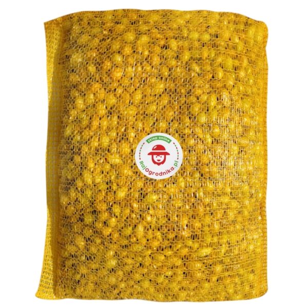 Cebula Dymka Sturon wczesna do sadzenia 10kg