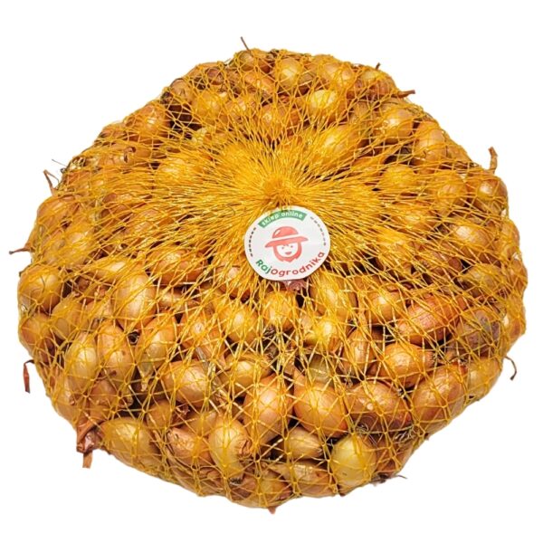 Cebula Dymka Sturon wczesna do sadzenia 500g NL wiosenna