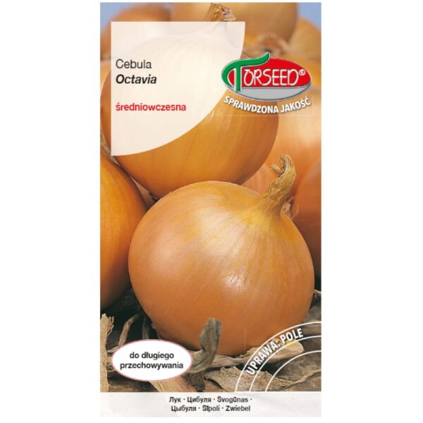 Cebula Octavia nasiona na taśmie 5m - TORSEED