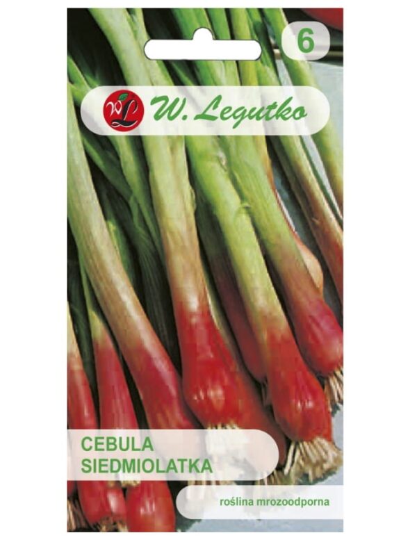 Cebula Siedmiolatka Red Toga nasiona 2g - W. Legutko
