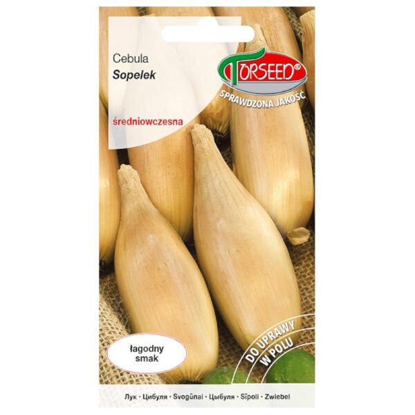 Cebula Sopelek nasiona 2g - TORSEED