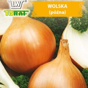 Cebula Wolska nasiona 5g - TORAF