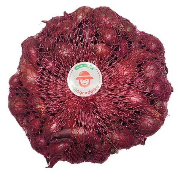 Cebula dymka KARMEN do sadzenia CZERWONA 250g wiosenna