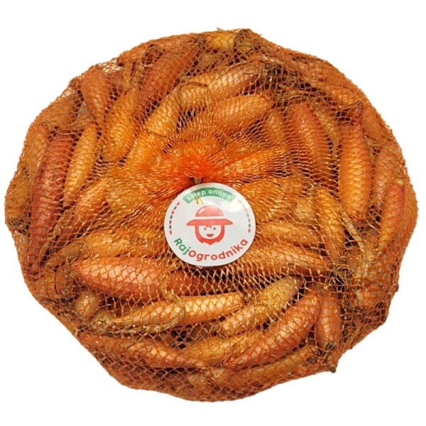 Cebula dymka Zebrune do sadzenia 200g SZALOTKA wiosenna