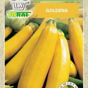 Cukinia Goldena nasiona 3g - TORAF