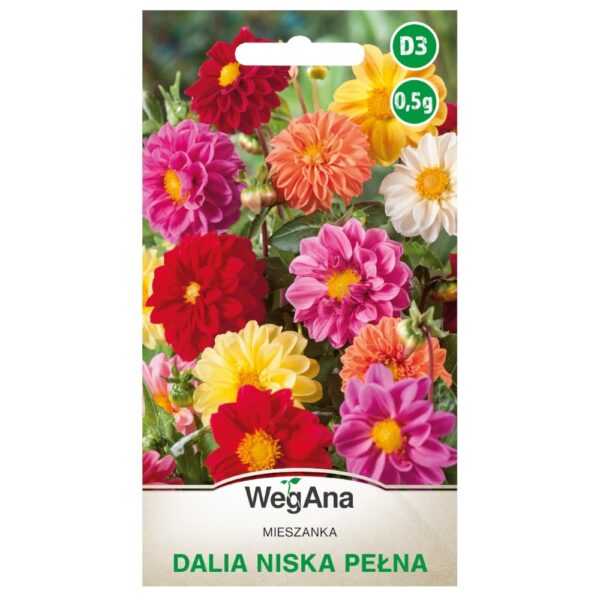 Dalia niska pełna Opera mieszanka nasiona 0