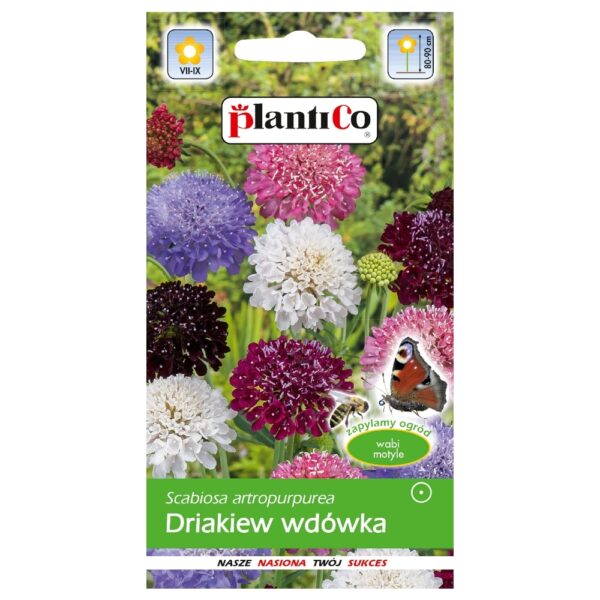 Drakiew wd&oacute;wka mieszanka nasiona 0