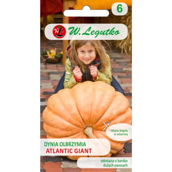 Dynia Olbrzymia Atlantic Giant 3g - W. Legutko