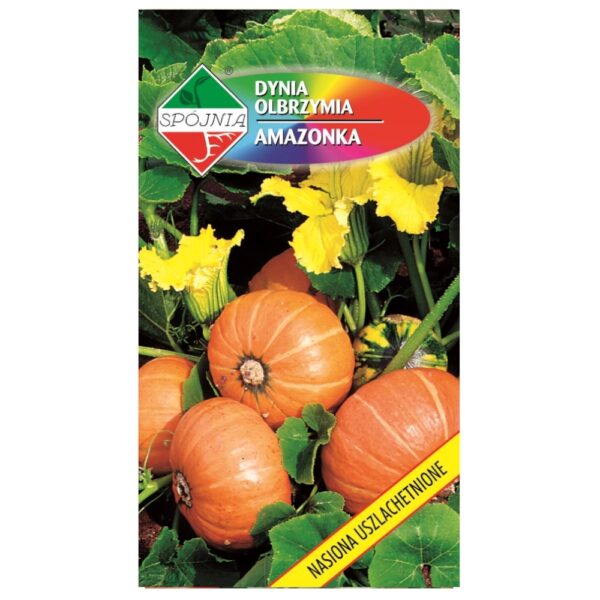 Dynia olbrzymia Amazonka nasiona 5g - Sp&oacute;jnia