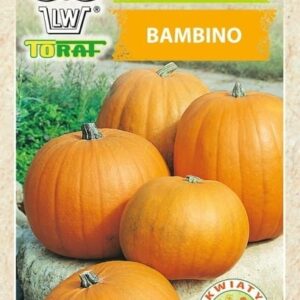 Dynia olbrzymia Bambino nasiona 5g -TORAF