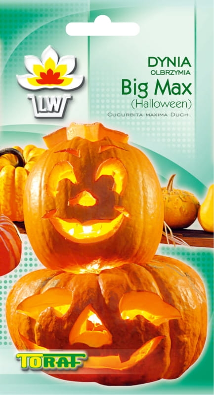 Dynia olbrzymia Big Max nasiona 3g -TORAF