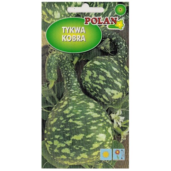 Dynia ozdobna Tykwa Kobra nasiona 1g - POLAN