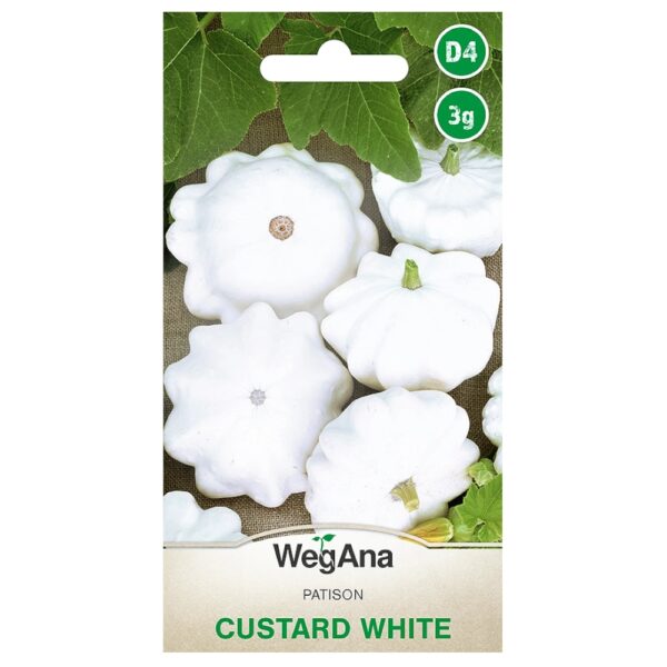 Dynia zwyczajna patison Custard White nasiona 3g - WegAna