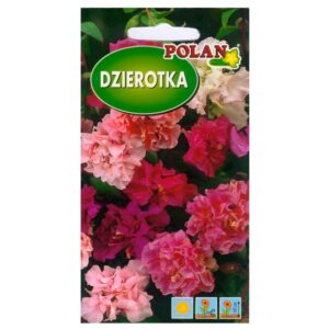 Dzierotka Klarkia mieszanka nasiona 2g - POLAN